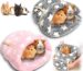 Cozy Star-Patterned Guinea Pig Bed